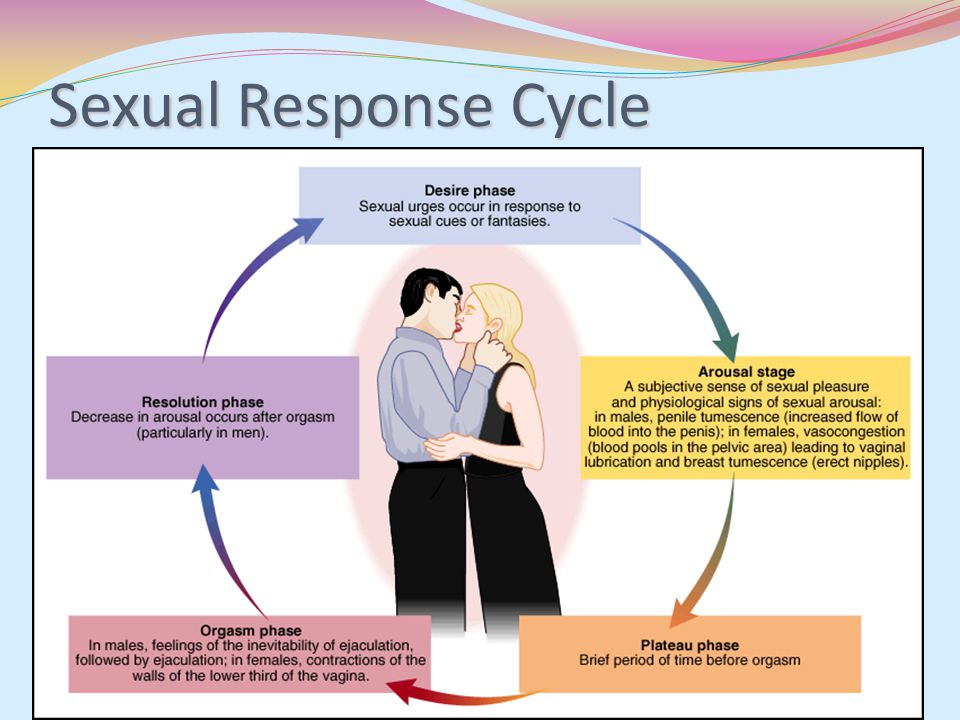 What Are The Sexual Response Cycles For Women 50