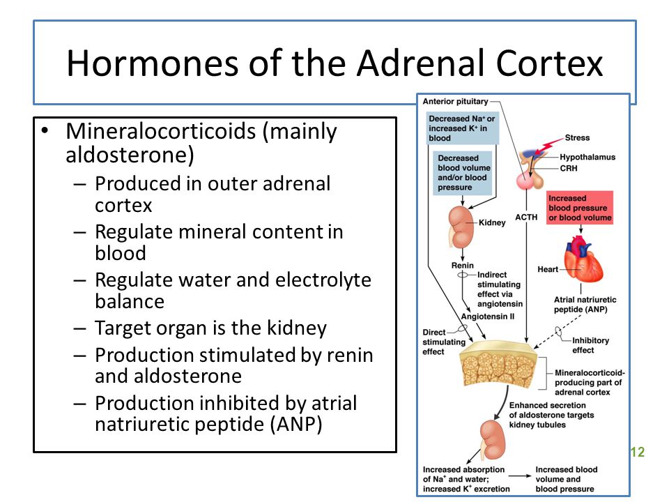 download the preservation of health managing carbohydrate intake