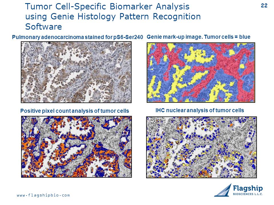 download neuropeptides methods and protocols