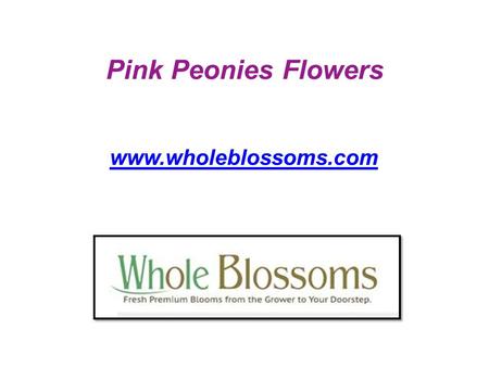 Pink Peonies Flowers  If you are looking for a floral surprise for your wedding celebration? Just visit