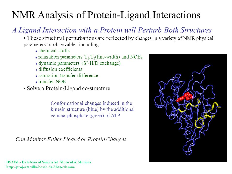 Analysis Of Protein 37