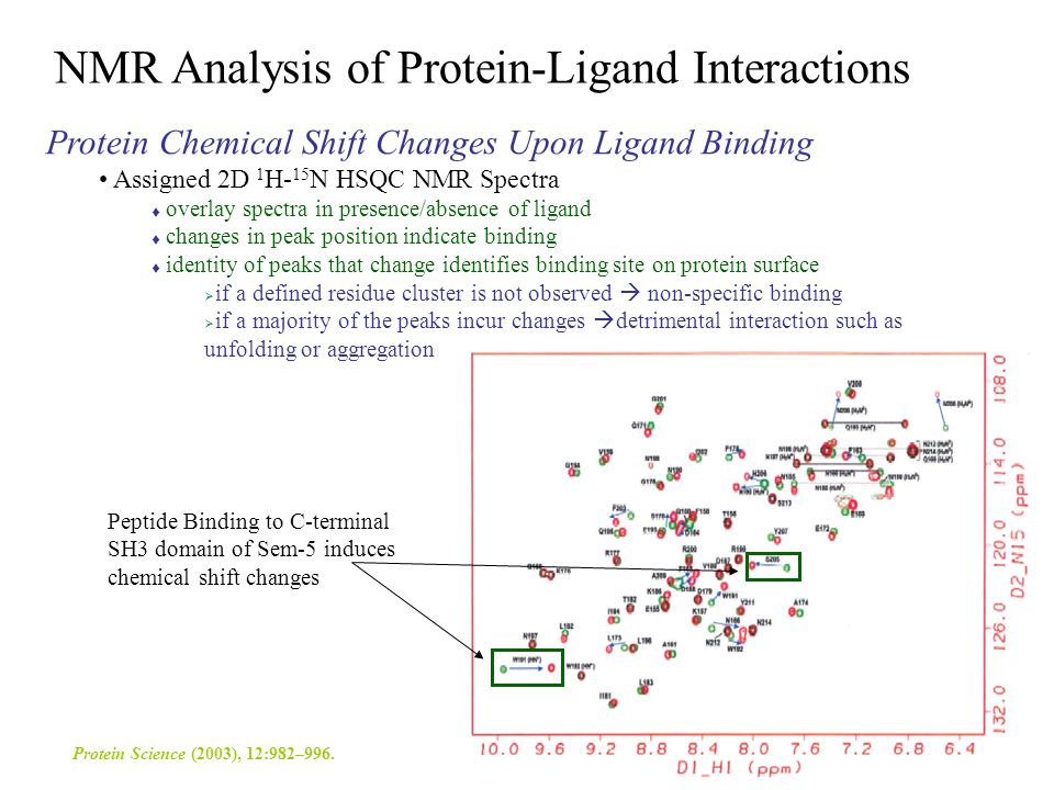 Analysis Of Protein 79