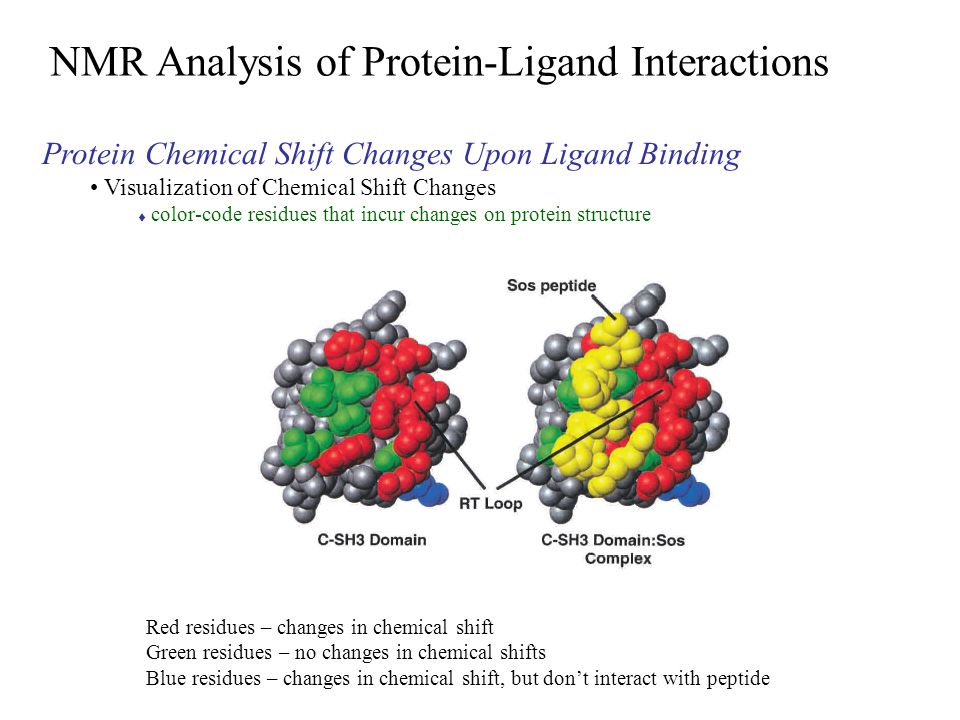 Analysis Of Protein 63