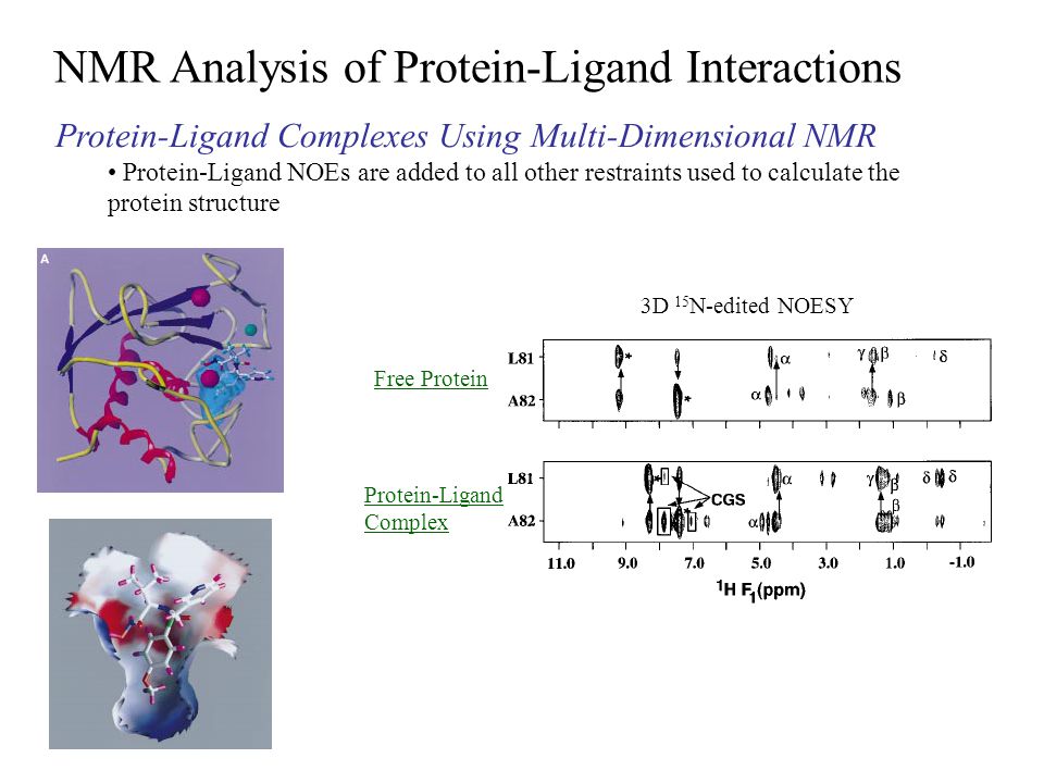 Analysis Of Protein 41
