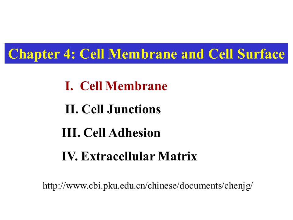 download the th2 type immune response in health and disease from host defense and allergy to metabolic homeostasis and beyond