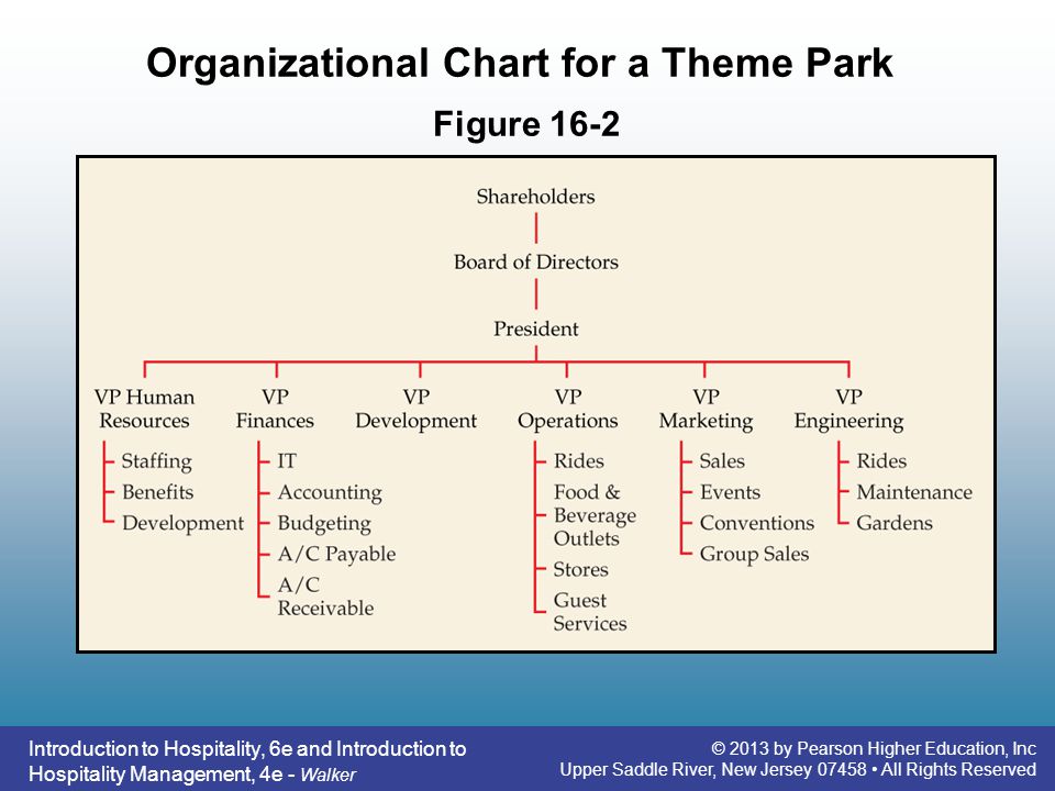 Theme Park Organizational Chart