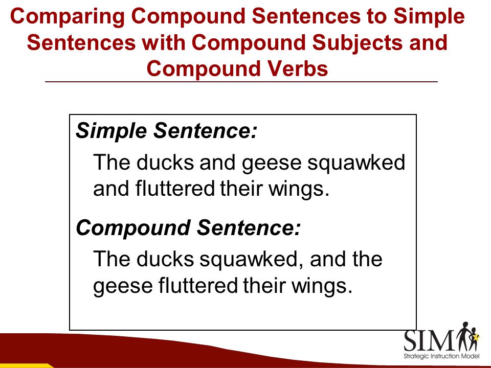 Write A Interrogative Sentence With A Compound Verb