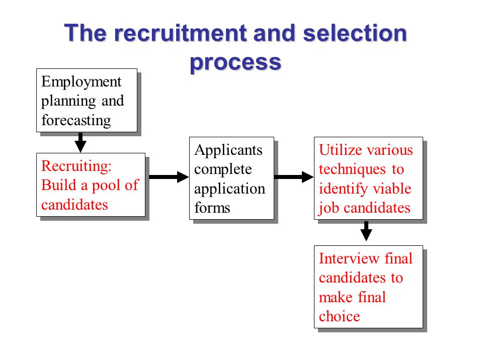 download the politics of emotions candidates and choices