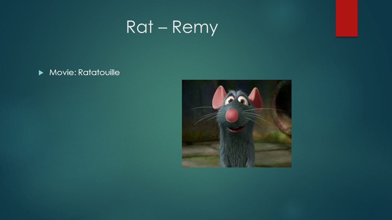 lion - alexmovie: madagascar elephant - tantormovie: tarzan rat