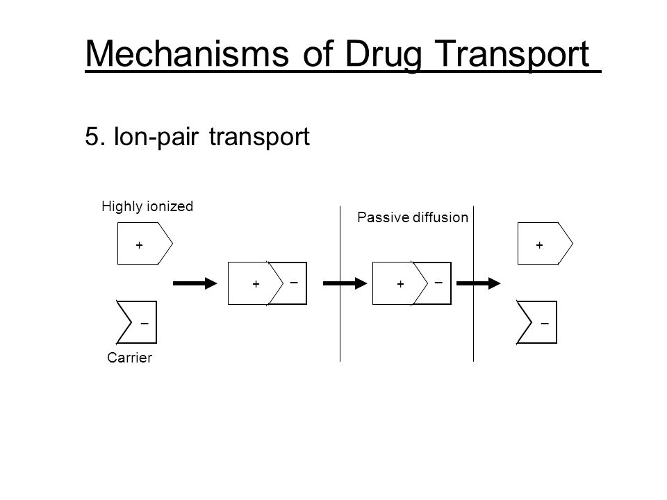 download joint structure