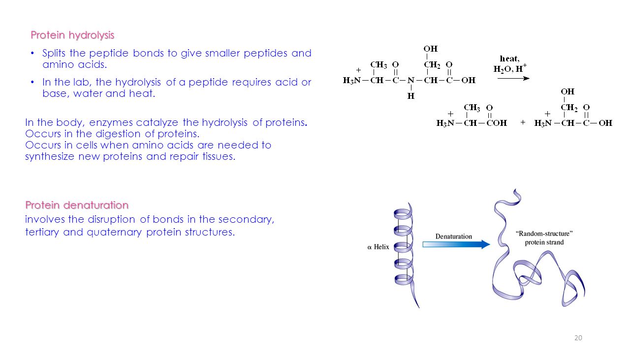 buy collecting the dots problem formulation and solution elements