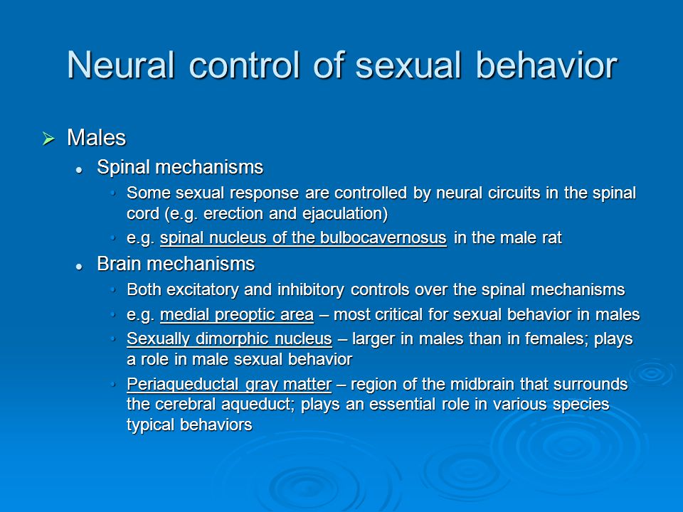 Male Sexual Behavior 46