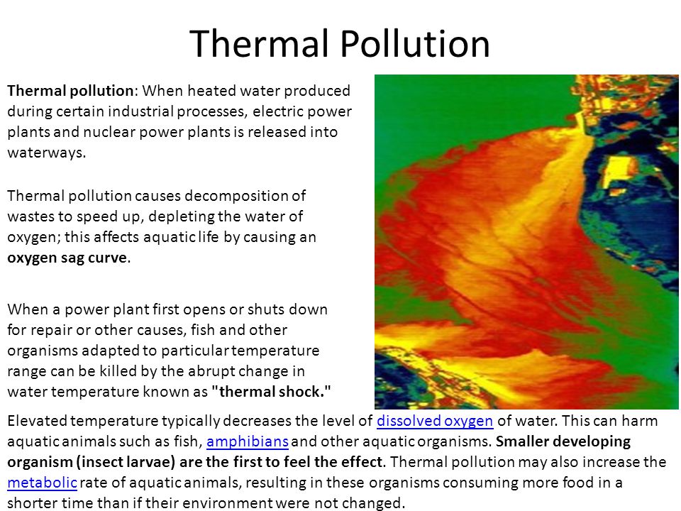 Free Download Ppt On Thermal Pollution Solutions