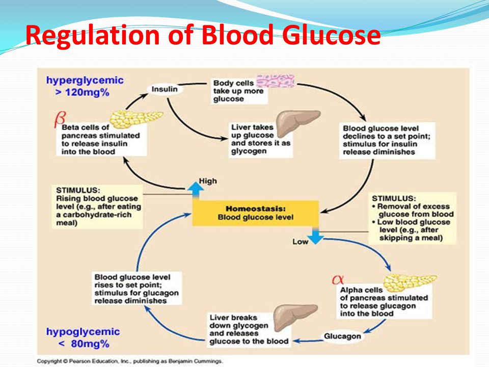 Homeostasis Chart