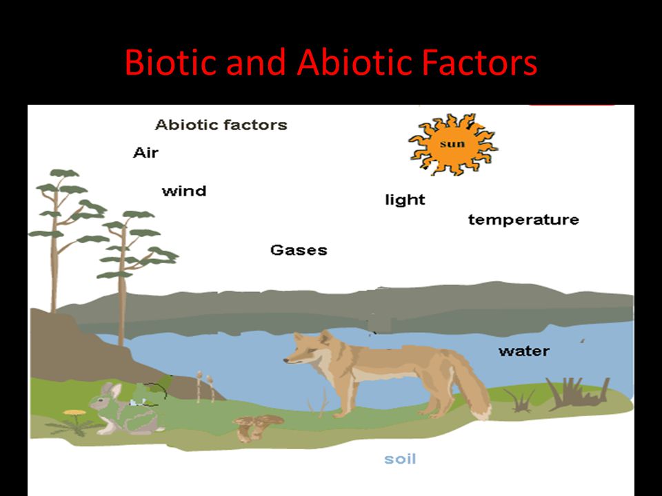 biotic and abiotic environment