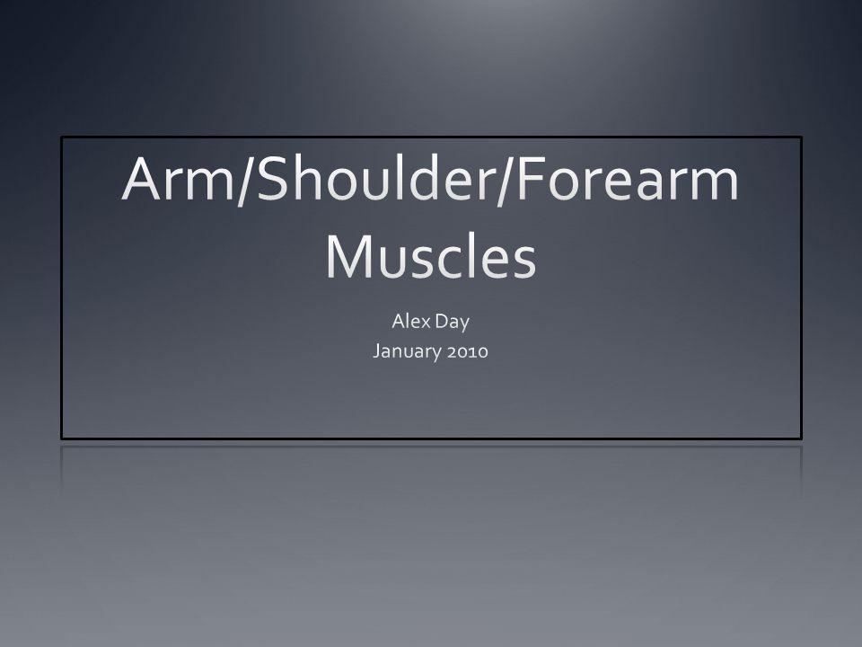 arm/shoulder/forearm muscles