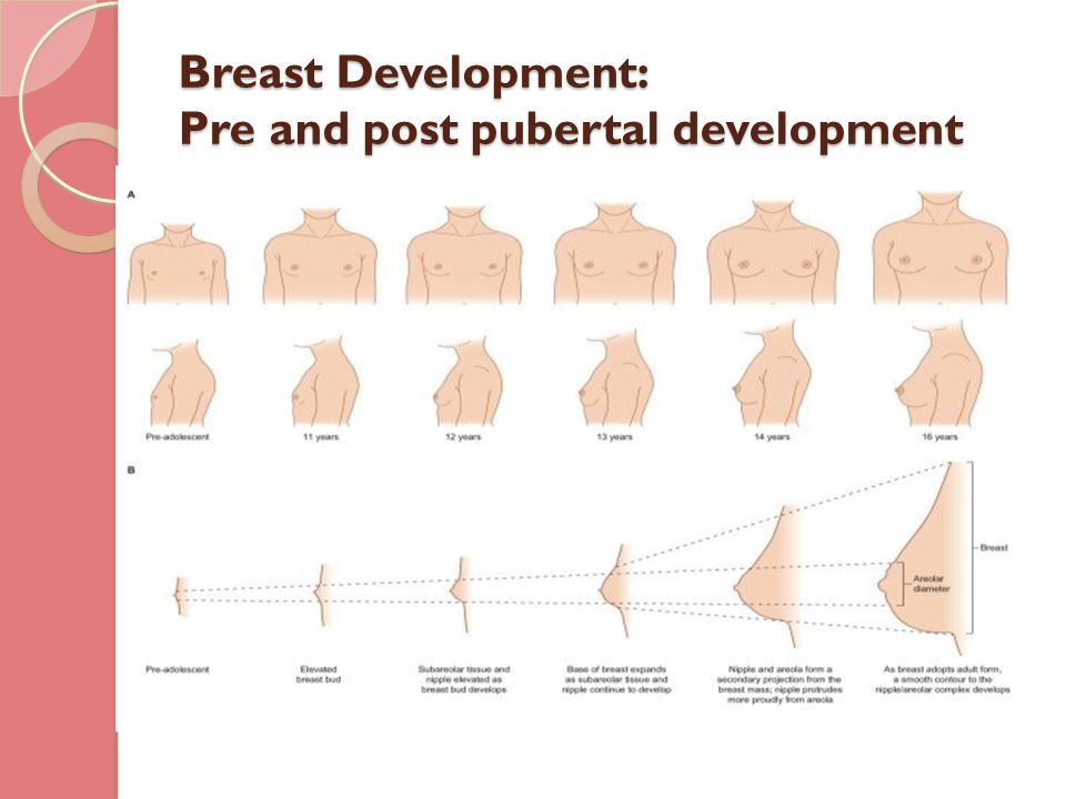 Breast Development Pictures 101