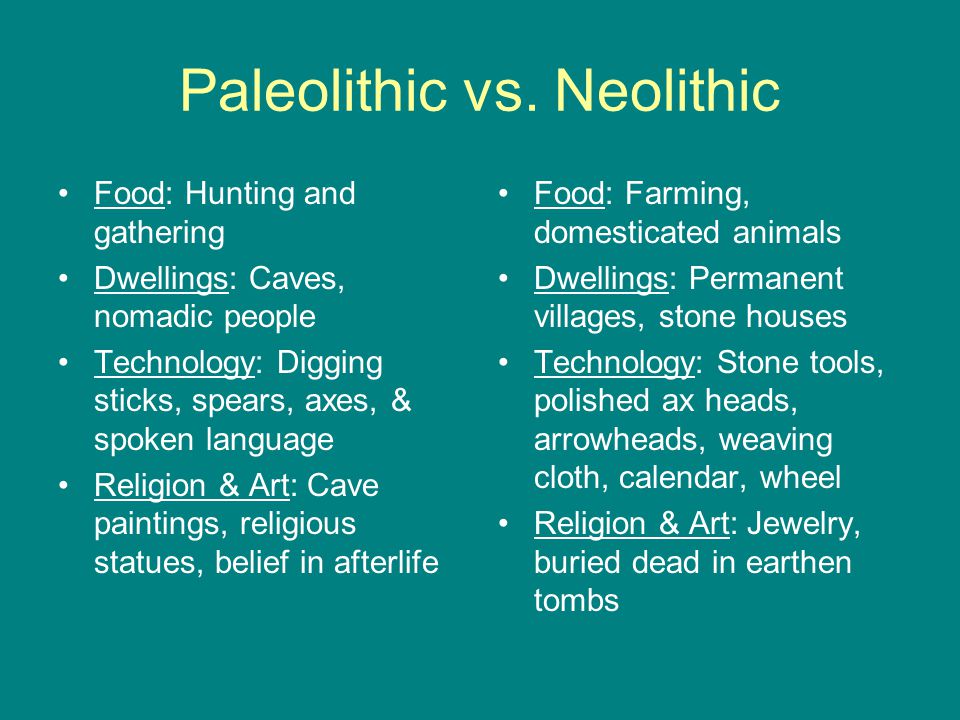 Paleolithic Vs Neolithic Chart