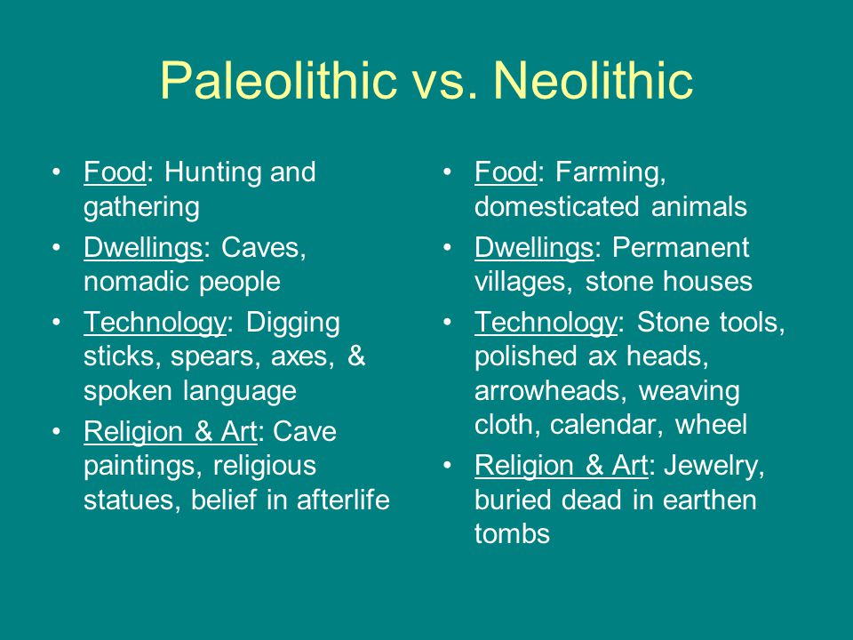 Paleolithic Vs Neolithic Chart
