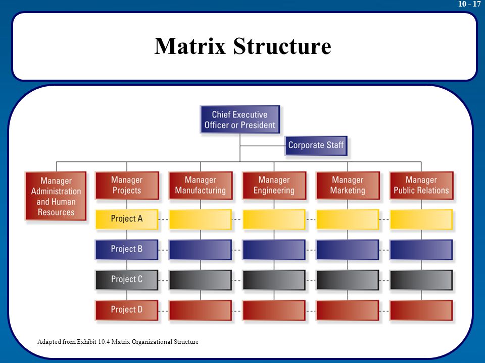 nike company organizational structure