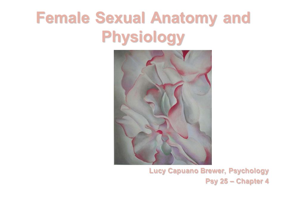 Anatomy Anatomy Female Sexuality Teen 2