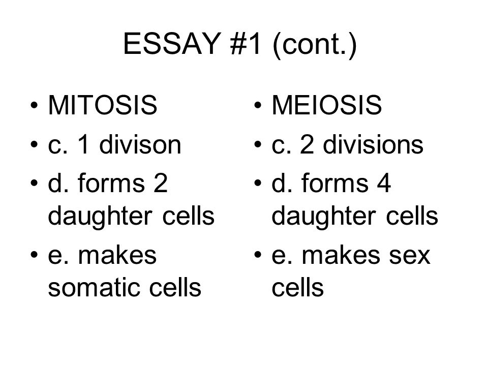 outline of persuasive essay.jpg