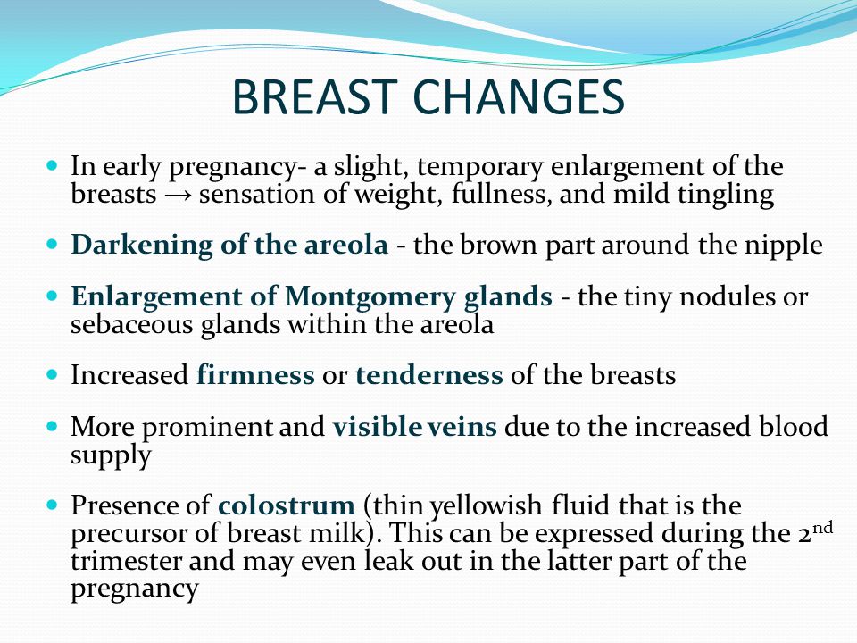 Is Milk In Breast Part Of Early Pregnancy 15