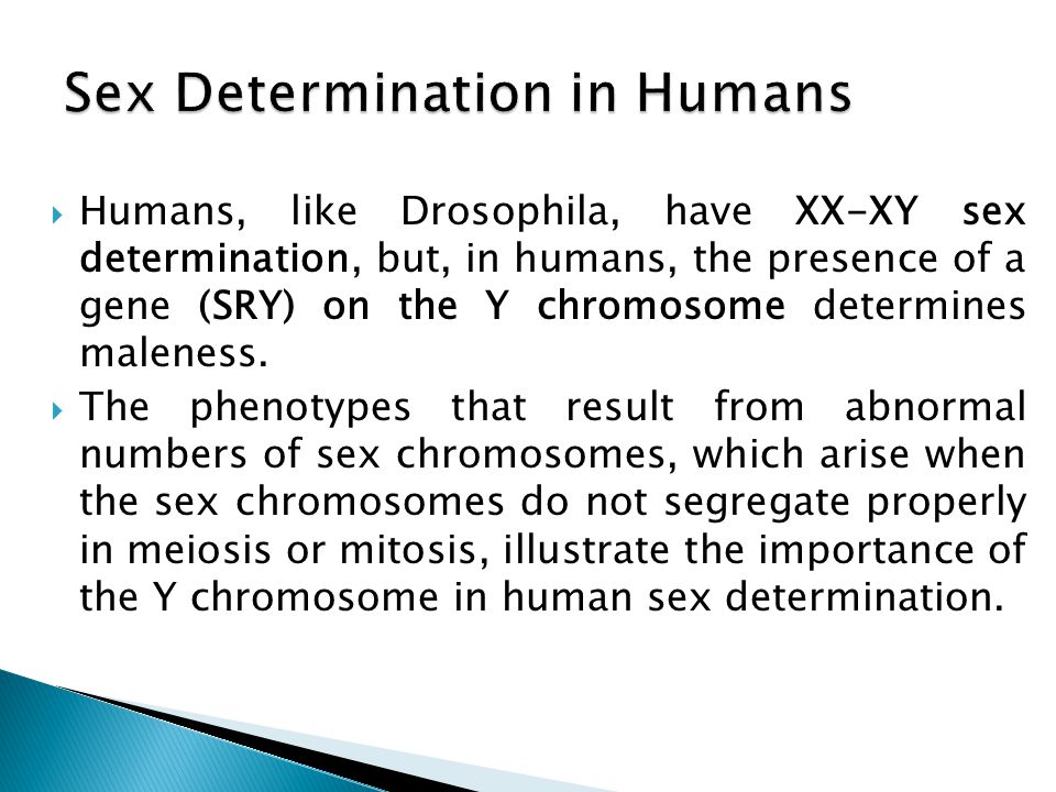 Human Sex Determination 59