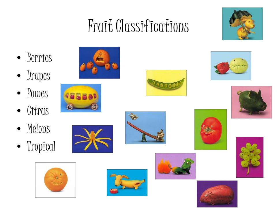 fruit ppt video online download citrus lower classifications