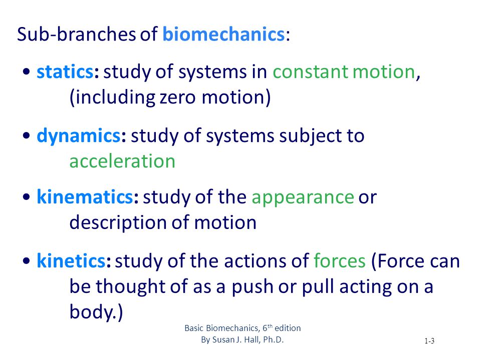 Basic Biomechanics Susan J Hall Ebook Free Download