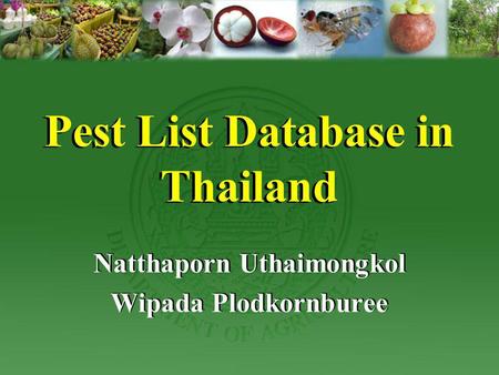 Pest List Database in Thailand