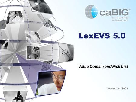 LexEVS 5.0 Value Domain and Pick List November, 2009.
