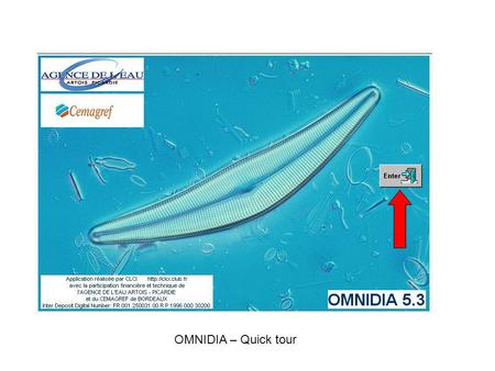OMNIDIA – Quick tour.