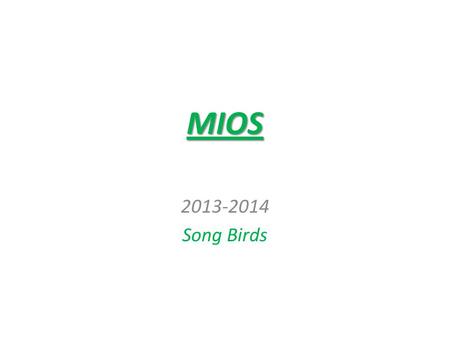 MIOS 2013-2014 Song Birds.