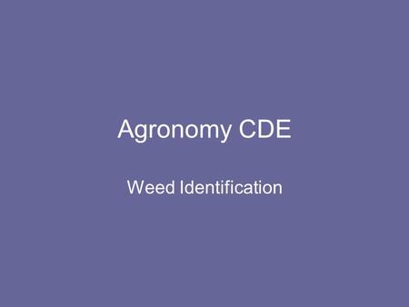 Agronomy CDE Weed Identification.