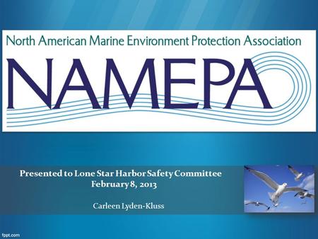 Presented to Lone Star Harbor Safety Committee February 8, 2013 Carleen Lyden-Kluss.