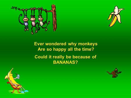 Ever wondered why monkeys Are so happy all the time? Could it really be because of BANANAS?