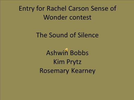 Entry for Rachel Carson Sense of Wonder contest The Sound of Silence Ashwin Bobbs Kim Prytz Rosemary Kearney.