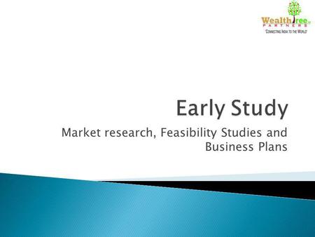Market research, Feasibility Studies and Business Plans.