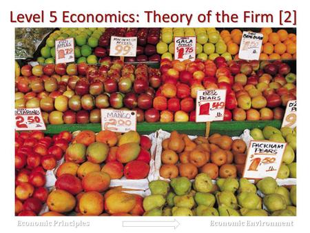 Level 5 Economics: Theory of the Firm [2] Economic Principles Economic Principles Economic Environment Economic Environment.