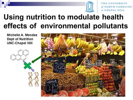 Using nutrition to modulate health effects of environmental pollutants Michelle A. Mendez Dept of Nutrition UNC-Chapel Hill.