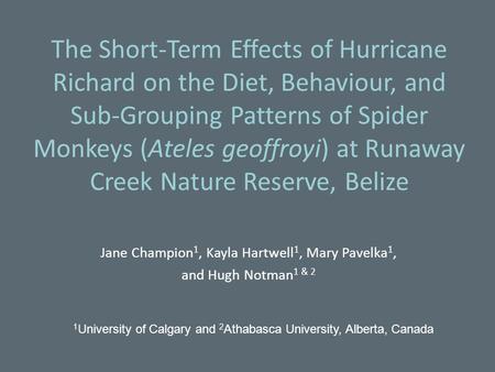 The Short-Term Effects of Hurricane Richard on the Diet, Behaviour, and Sub-Grouping Patterns of Spider Monkeys (Ateles geoffroyi) at Runaway Creek Nature.