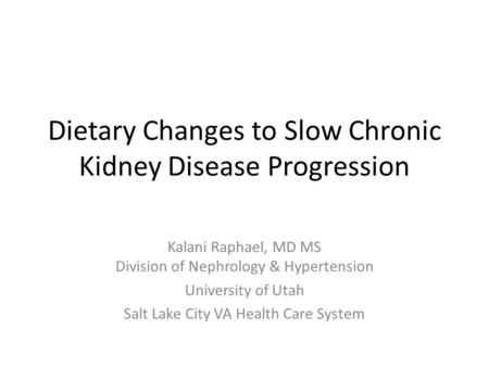 Dietary Changes to Slow Chronic Kidney Disease Progression