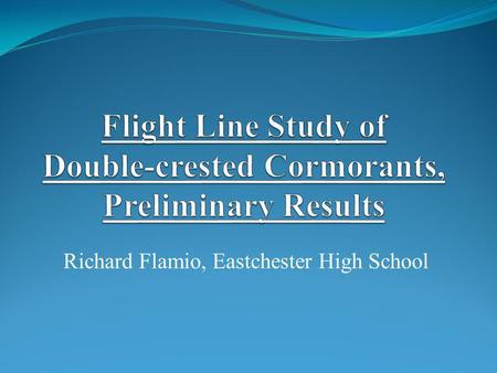 Flight Line Study of Double-crested Cormorants, Preliminary Results