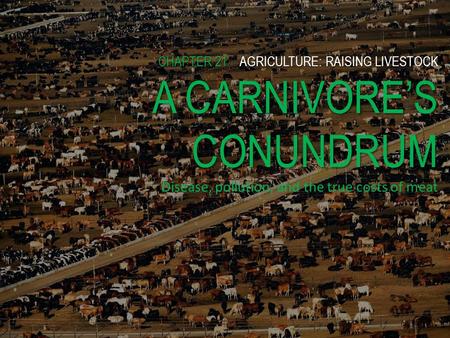 CHAPTER 21AGRICULTURE: RAISING LIVESTOCK A CARNIVORES CONUNDRUM CHAPTER 21 AGRICULTURE: RAISING LIVESTOCK A CARNIVORES CONUNDRUM Disease, pollution, and.