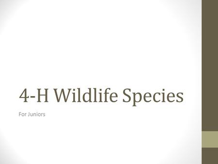 4-H Wildlife Species For Juniors. bluegill Diet: zooplankton (microscopic animal life) when young, when older: insects, eggs, earthworms, tadpoles, small.