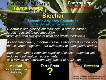Acrisol + typical Amazon soil Infertile clay Charcoal = Terra Preta ? Charcoal Biochar Acrisol Biochar Scientific Advisory Committee International Biochar.