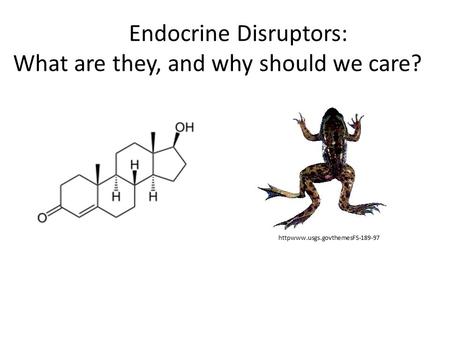 Endocrine Disruptors: What are they, and why should we care? httpwww.usgs.govthemesFS-189-97.