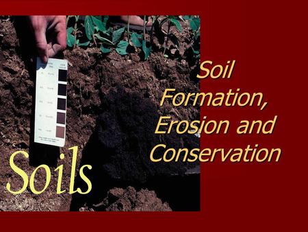 Soil Formation, Erosion and Conservation