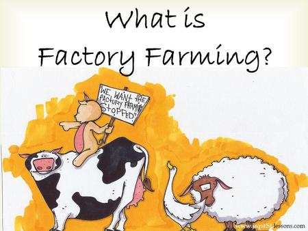 What is Factory Farming? www.jaqsESLlessons.com. This is Factory Farming www.jaqsESLlessons.com.